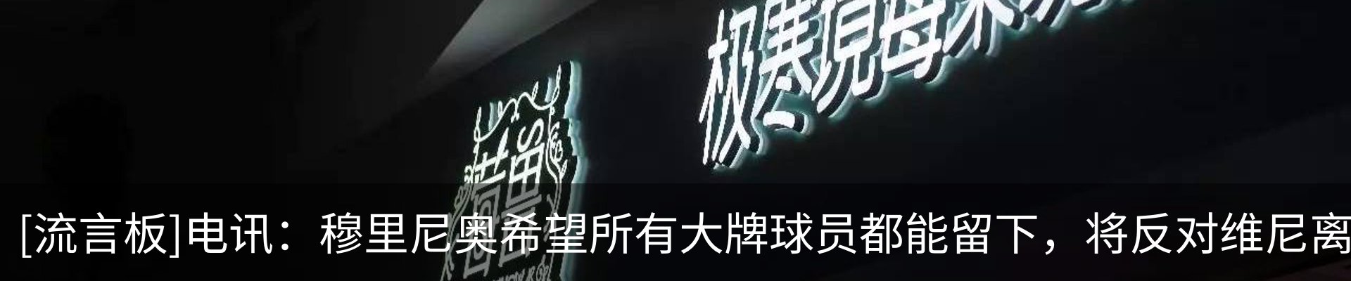 最新动态